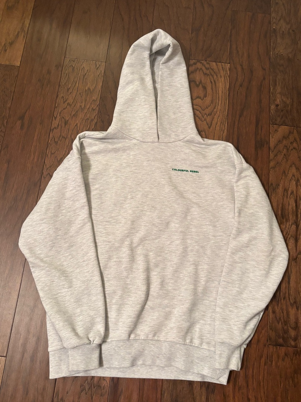 Colorful Rebel Mother Earth Oversized Hoodie - XS